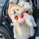 소서제주 7월 2일