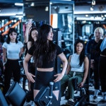 파라다이스짐 더 프리미엄