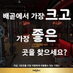 매드볼릭 휘트니스 PT 배곧점
