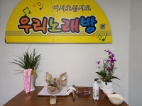 우리노래연습장