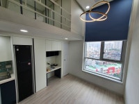 마에스트로공인중개사사무소