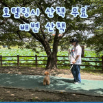 프렌즈도그 호텔 광주 서구점