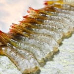 머구리해물대첩