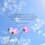뉴세실음악학원