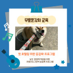 프렌즈도그 호텔 광주 서구점