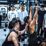 파라다이스짐 더 프리미엄