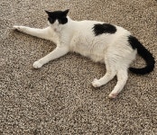 두산위브번영부동산공인중개사사무소