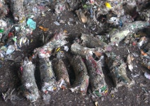 정우리사이클링