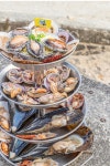 섬 다찌 조개구이