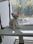 플러플리 FLUFFLY