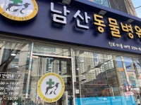 남산동물병원