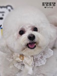 포댕포댕