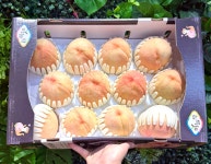 우리동네국민상회 힐스자이계양점