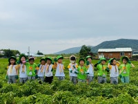 버클리명문유치원