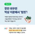 아소비 큐미르 신탄진 동일학원