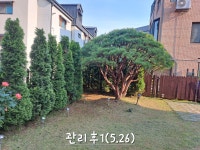 진송조경관리
