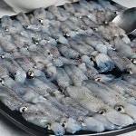 머구리해물대첩