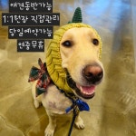 리네일 용봉전대점