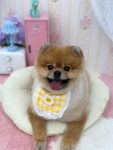 아뜰리에멍
