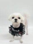 멍동이네