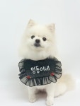 멍동이네