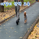 프렌즈도그 유치원 광주 서구점