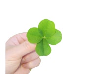 한아름공인중개사사무소