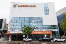 라온동물메디컬센터