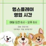 멍스플레이