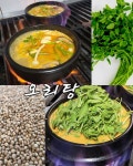 모란오리가
