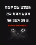 의정부강아지분양 고양이분양 마이펫브로 의정부점