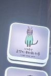지개동산 고양이 미용실