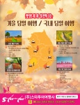스타투어여행사