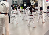 한국체대 박사 태권도장