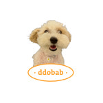 라이크어독 애견유치원 강아지유치원 애견호텔 애견미용