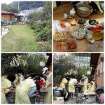 콩쥐애견아카데미