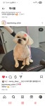제주멍
