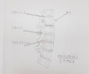 서약손안마원