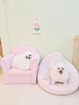 소우주애견미용실