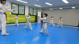 환서 용인대 챔피온 태권도