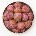 대패생각 거제고현점