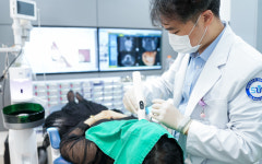 용인선플란트치과의원