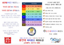 용인대라이온즈태권도장