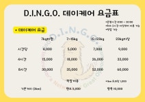 딩고코리아 반려견교육센터 애견훈련 애견유치원 애견호텔
