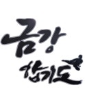 금강합기도