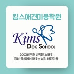 킴스애견미용학원