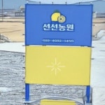 선선농원