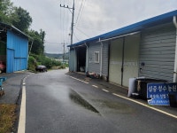 조치원복숭아 청수농원