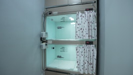 용문조아동물병원