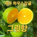 랑이준이네농장